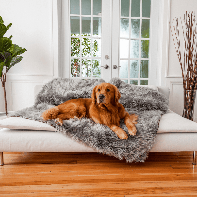 Load image into Gallery viewer, PupProtector™ Waterproof Throw Blanket - Charcoal Grey