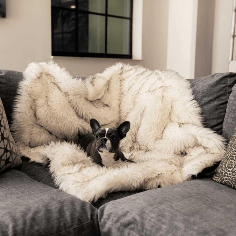 Load image into Gallery viewer, PupProtector™ Waterproof Throw Blanket - White with Brown Accents