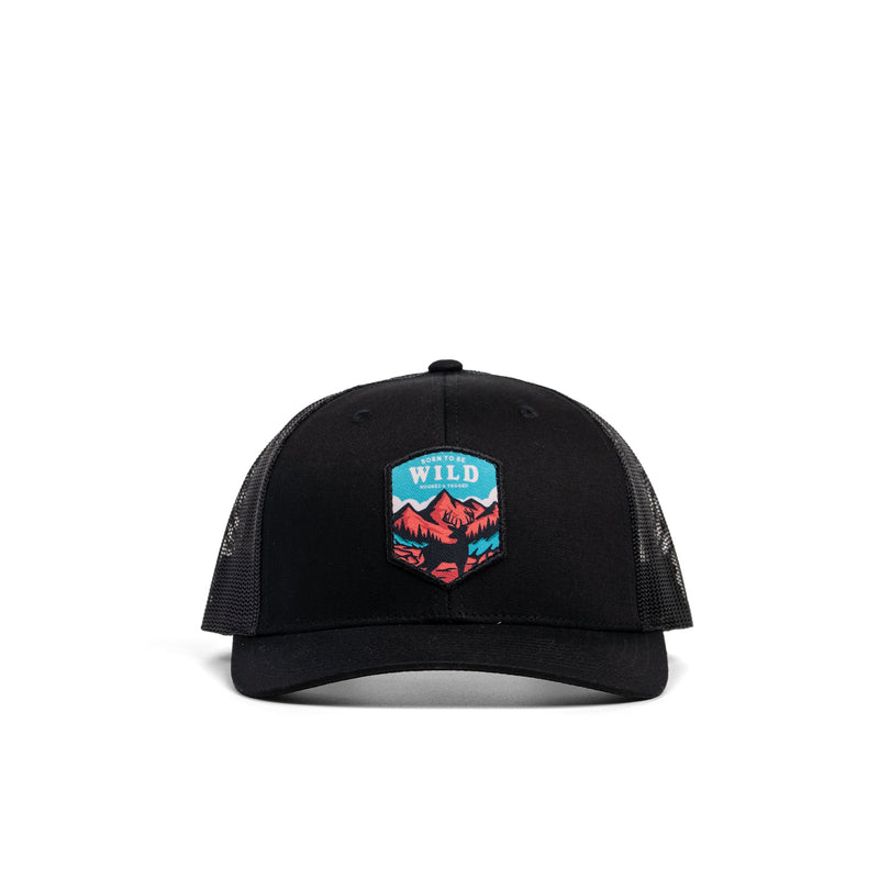 Load image into Gallery viewer, Born To Be Wild Patch Hat