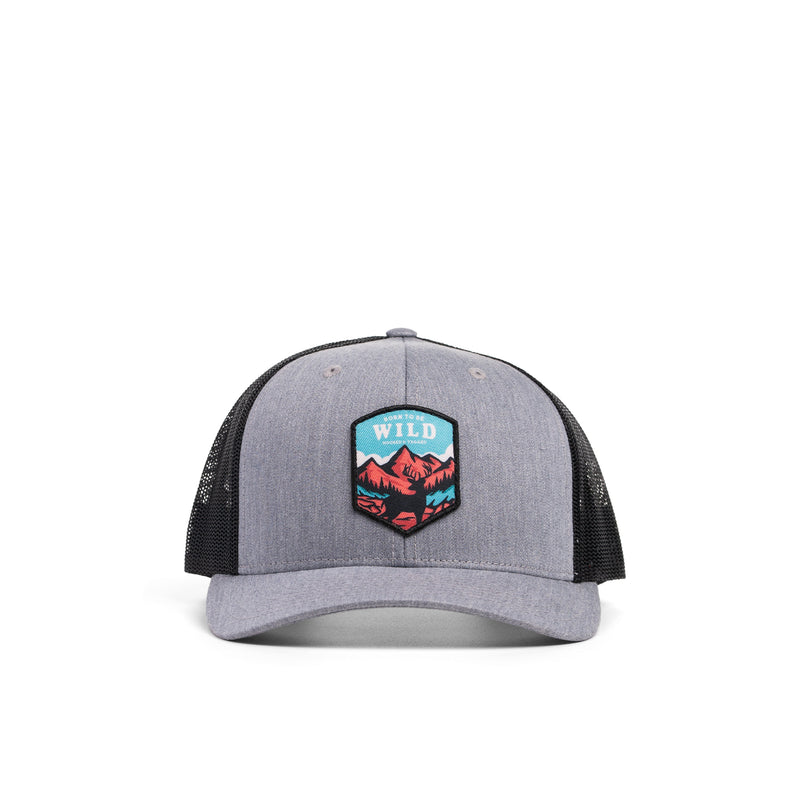 Load image into Gallery viewer, Born To Be Wild Patch Hat