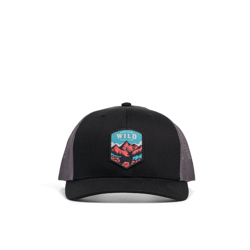 Load image into Gallery viewer, Born To Be Wild Patch Hat