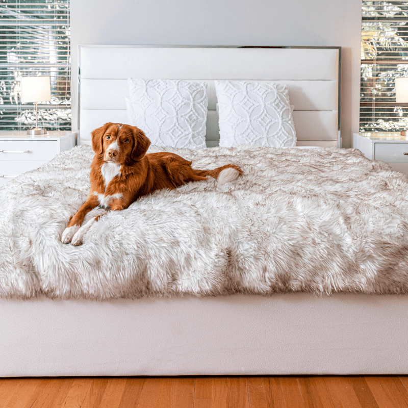 Load image into Gallery viewer, PupProtector™ Waterproof Throw Blanket - White with Brown Accents