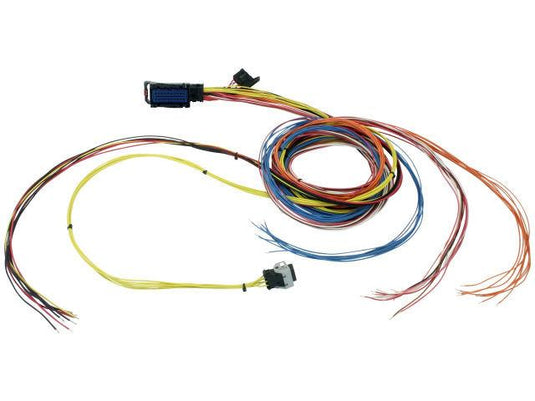 AEM Electronics Fuel Management Wiring Harness