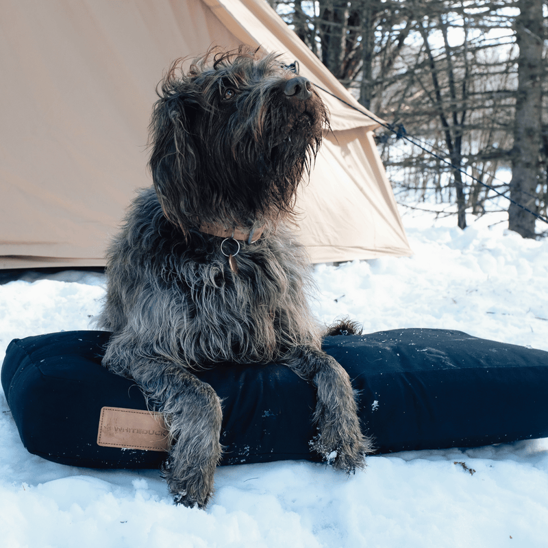 Load image into Gallery viewer, Dog Bed