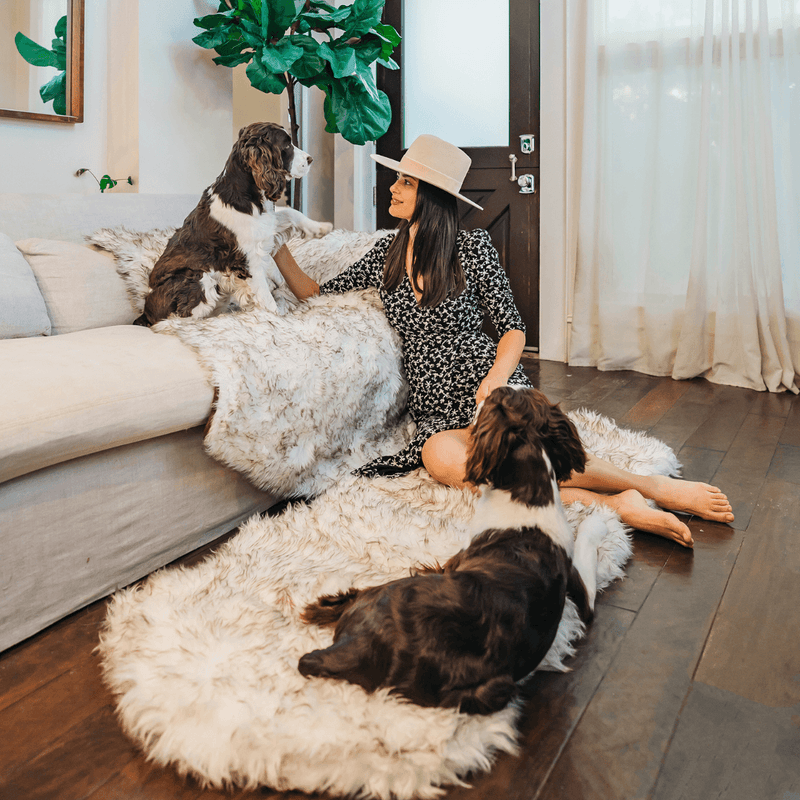 Load image into Gallery viewer, PupRug® Runner Faux Fur Memory Foam Dog Bed - Curve White with Brown Accents