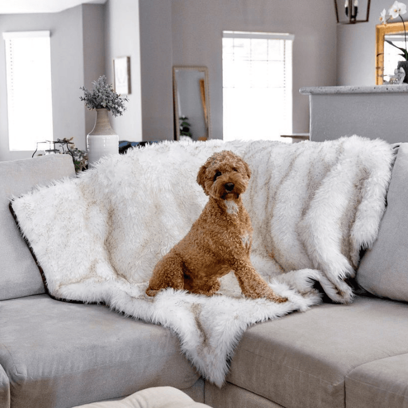 Load image into Gallery viewer, PupProtector™ Waterproof Throw Blanket - White with Brown Accents