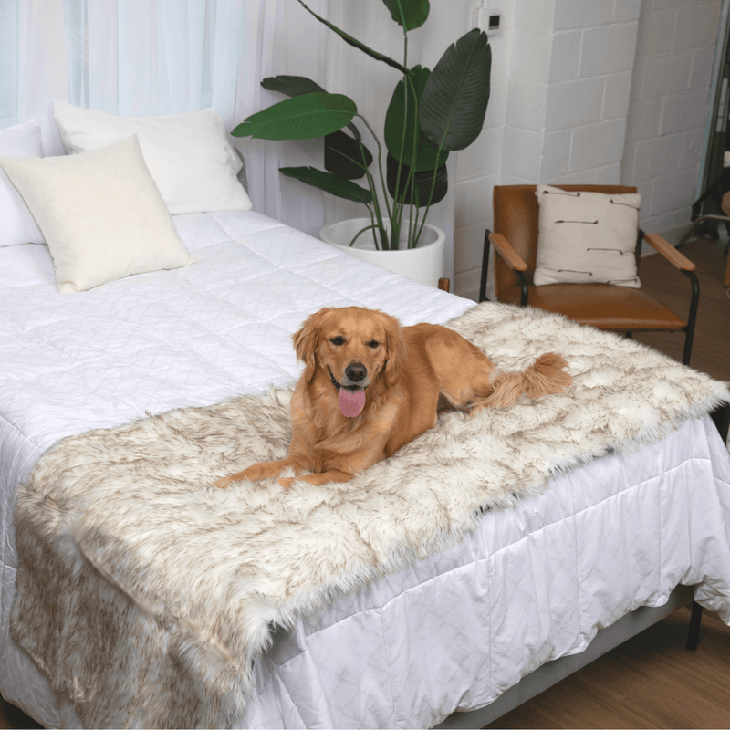 Load image into Gallery viewer, PupProtector™ Waterproof Bed Runner - White with Brown Accents