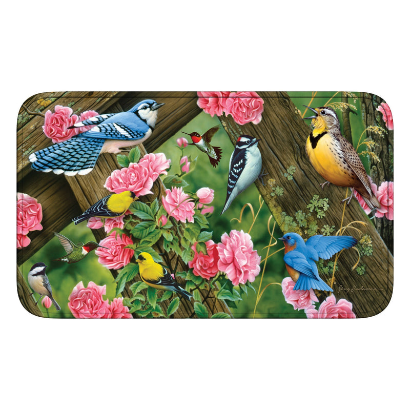 Load image into Gallery viewer, Memory Foam Mat-Song Birds