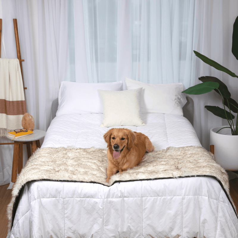 Load image into Gallery viewer, PupProtector™ Waterproof Bed Runner - White with Brown Accents