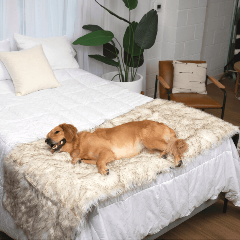 Load image into Gallery viewer, PupProtector™ Waterproof Bed Runner - White with Brown Accents