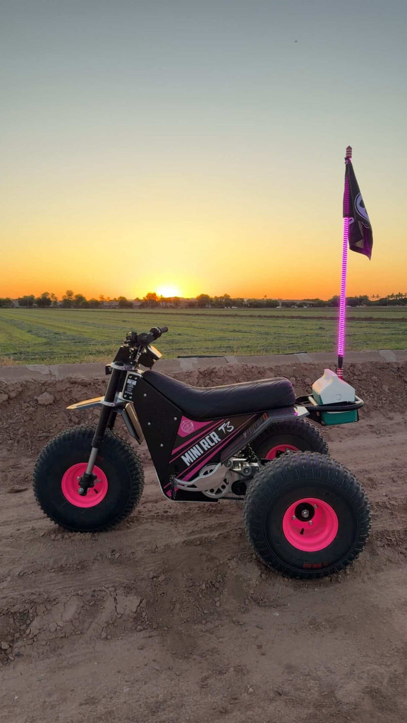Load image into Gallery viewer, Game Changer LED Whip Set - Malibu Barbie Pink