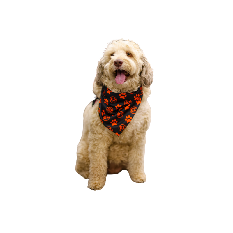 Load image into Gallery viewer, Dog Bandana