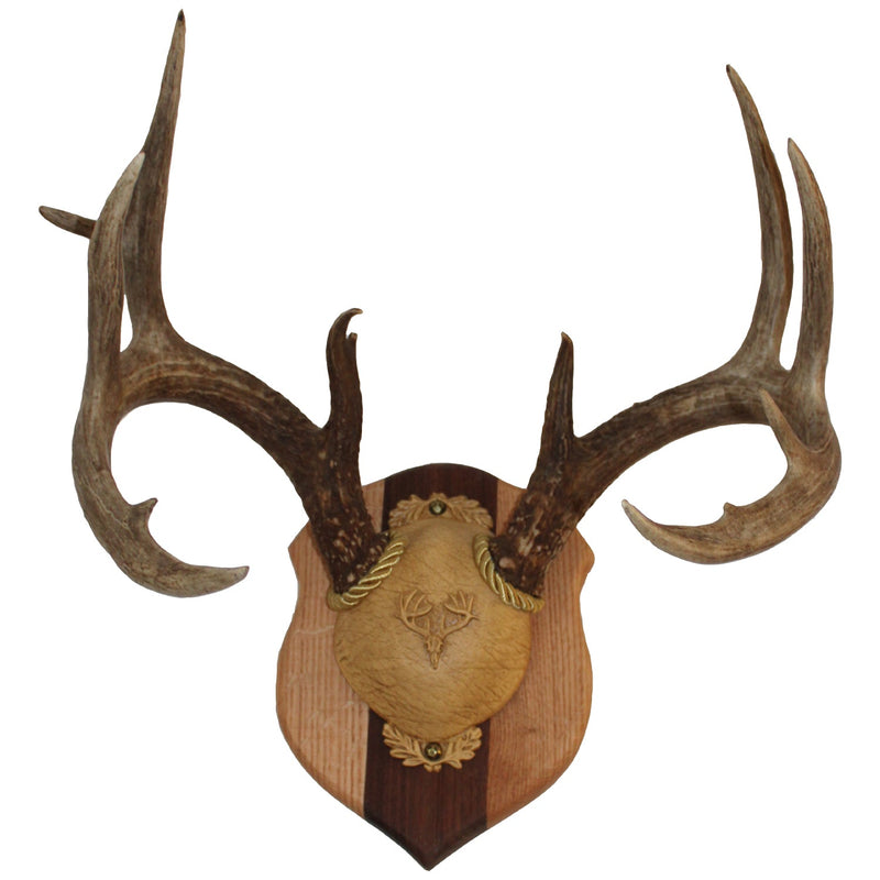 Load image into Gallery viewer, Antler Plaques