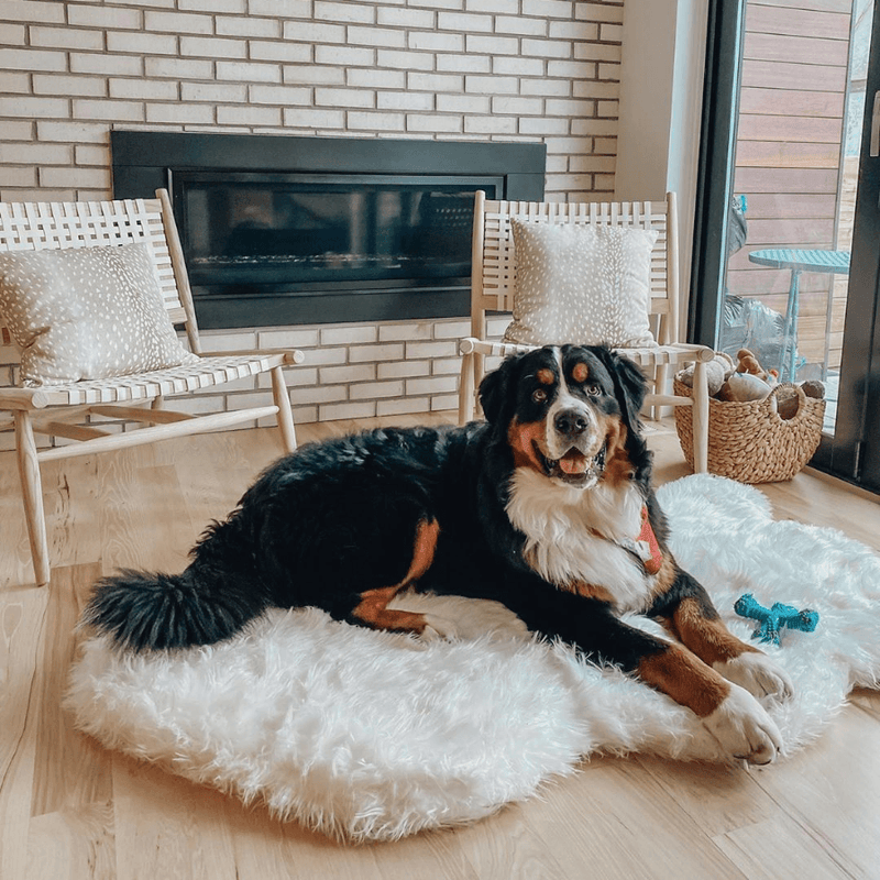 Load image into Gallery viewer, PupRug by Paw.com® Faux Fur Orthopedic Dog Bed - Curve Polar White
