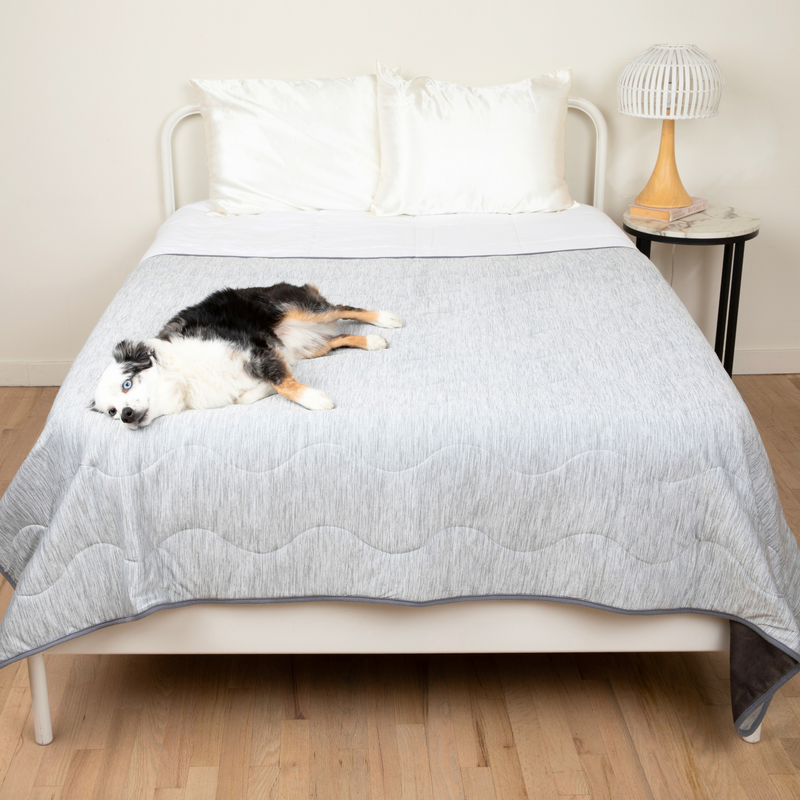 Load image into Gallery viewer, PupChill™ Cooling Waterproof Blanket - Arctic Grey
