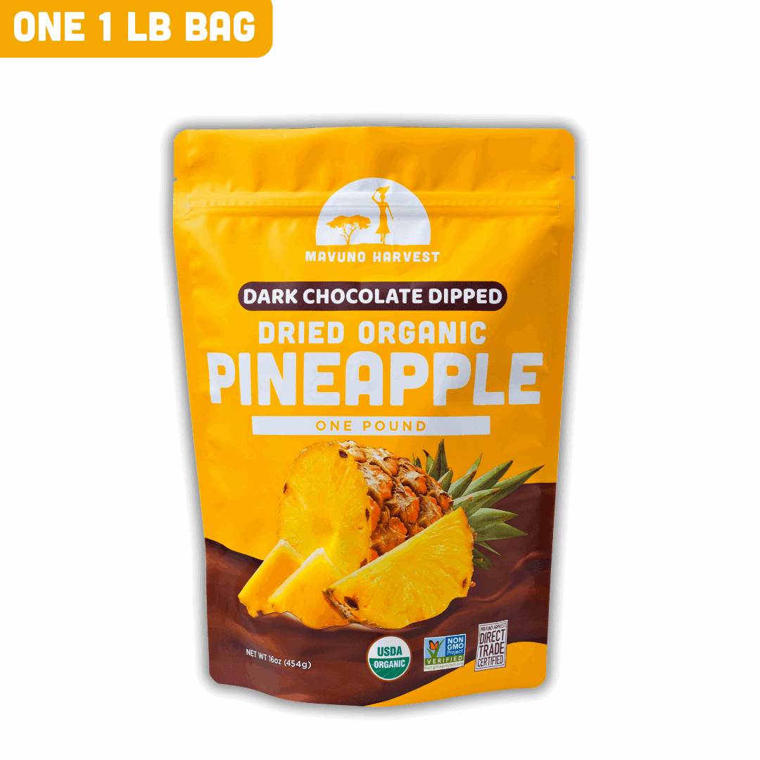 Organic Dried Pineapple Dipped in Dark Chocolate - Skoutley Outdoors LLC