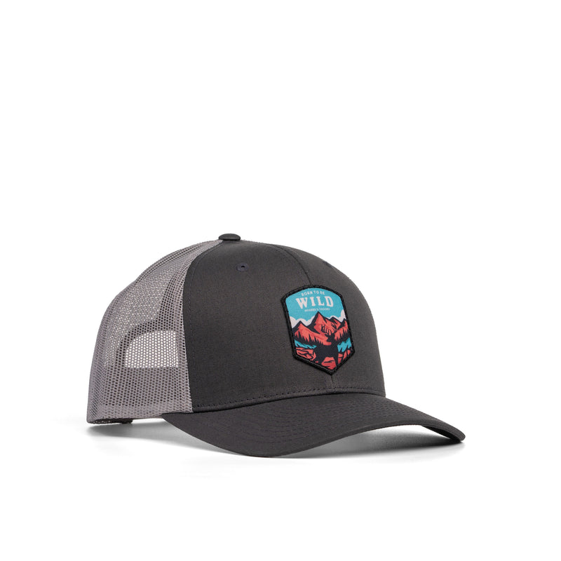Load image into Gallery viewer, Born To Be Wild Patch Hat