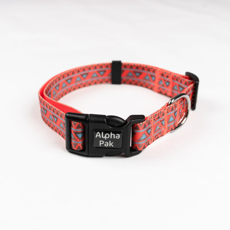 Load image into Gallery viewer, Everyday Adventure Dog Collar