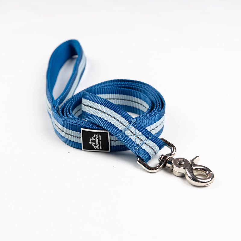 Load image into Gallery viewer, Classic Adventure Flat Dog Leash