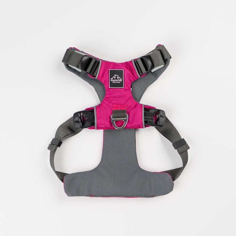 Load image into Gallery viewer, Everyday Adventure Dog Harness