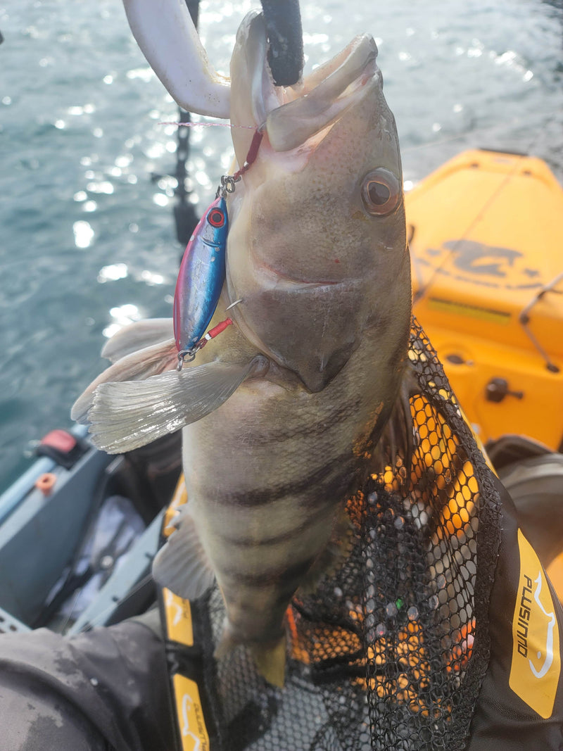 Load image into Gallery viewer, Sumo Slow Pitch Jig – 40g & 60g