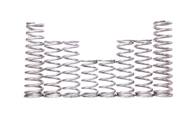 Load image into Gallery viewer, Shock Therapy Dual Rate Spring Kit (DRS) for Polaris RS1