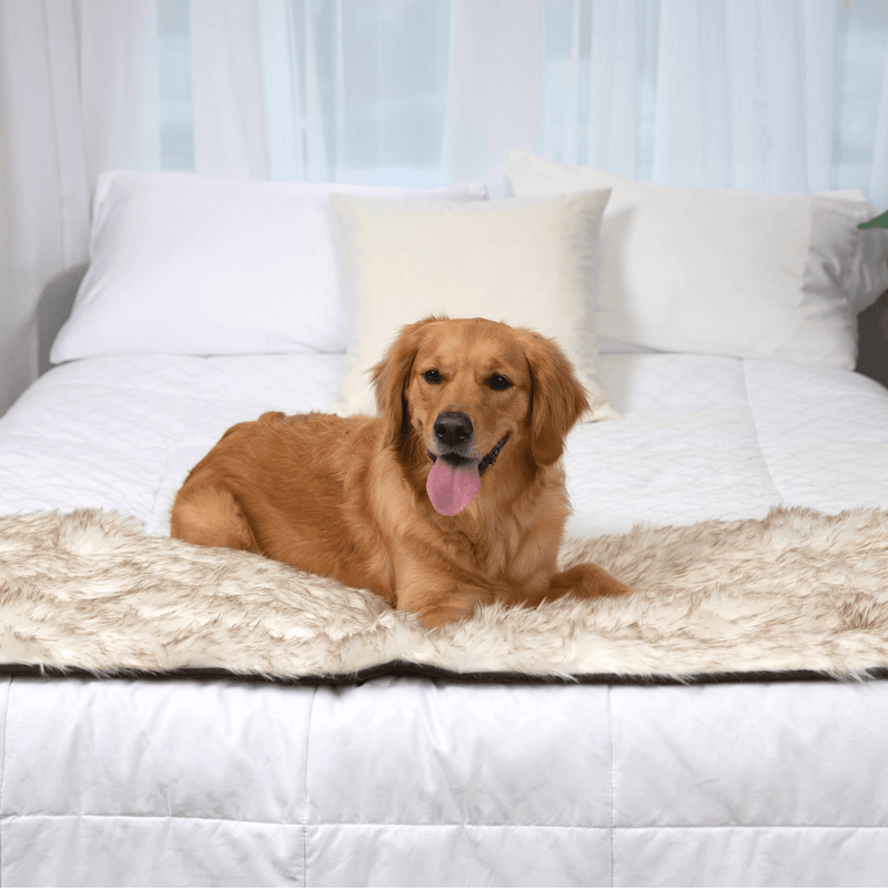 Load image into Gallery viewer, PupProtector™ Waterproof Bed Runner - White with Brown Accents