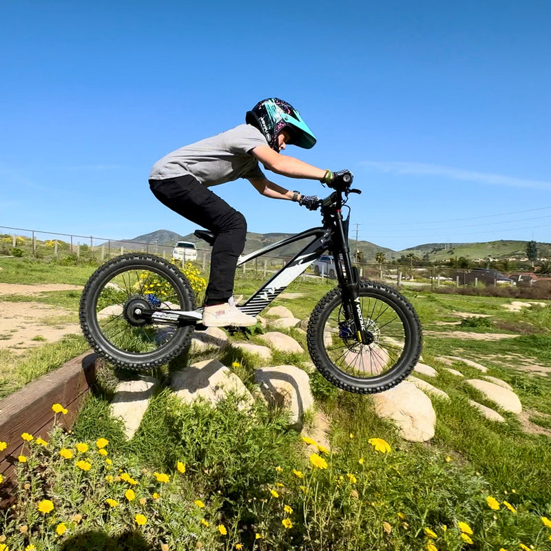 Load image into Gallery viewer, Voltaic Youth Electric Dirt Bike 20'' Flying Fox
