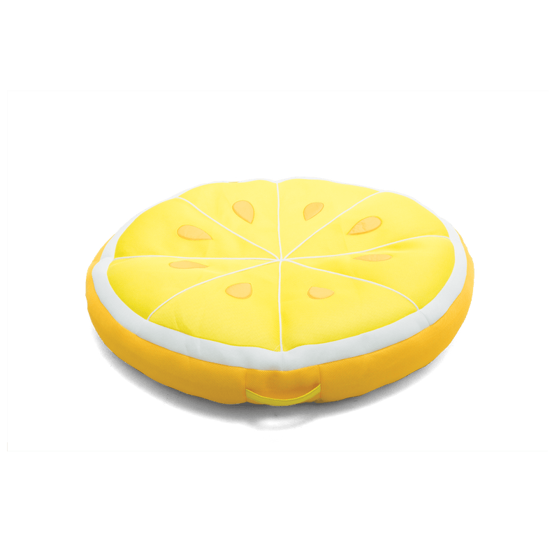 Load image into Gallery viewer, Fruit Slice Large