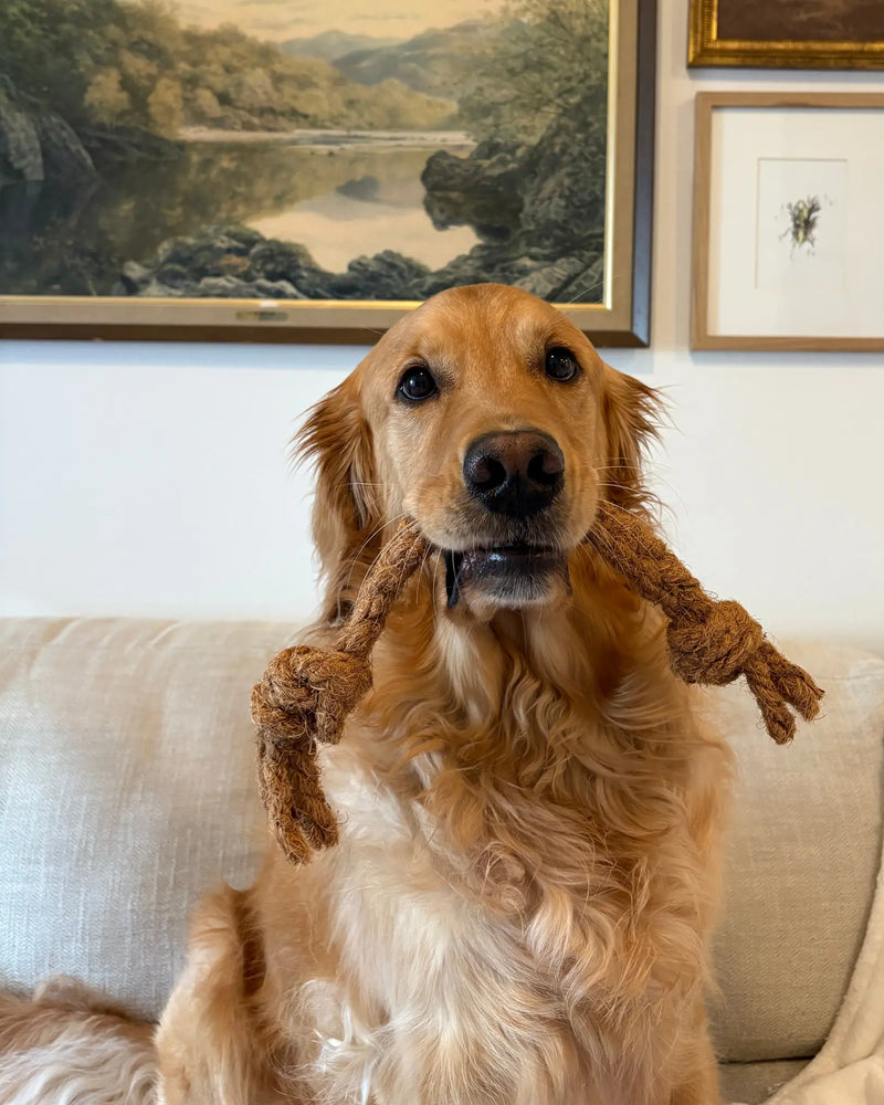Load image into Gallery viewer, Coconut Rope Tug