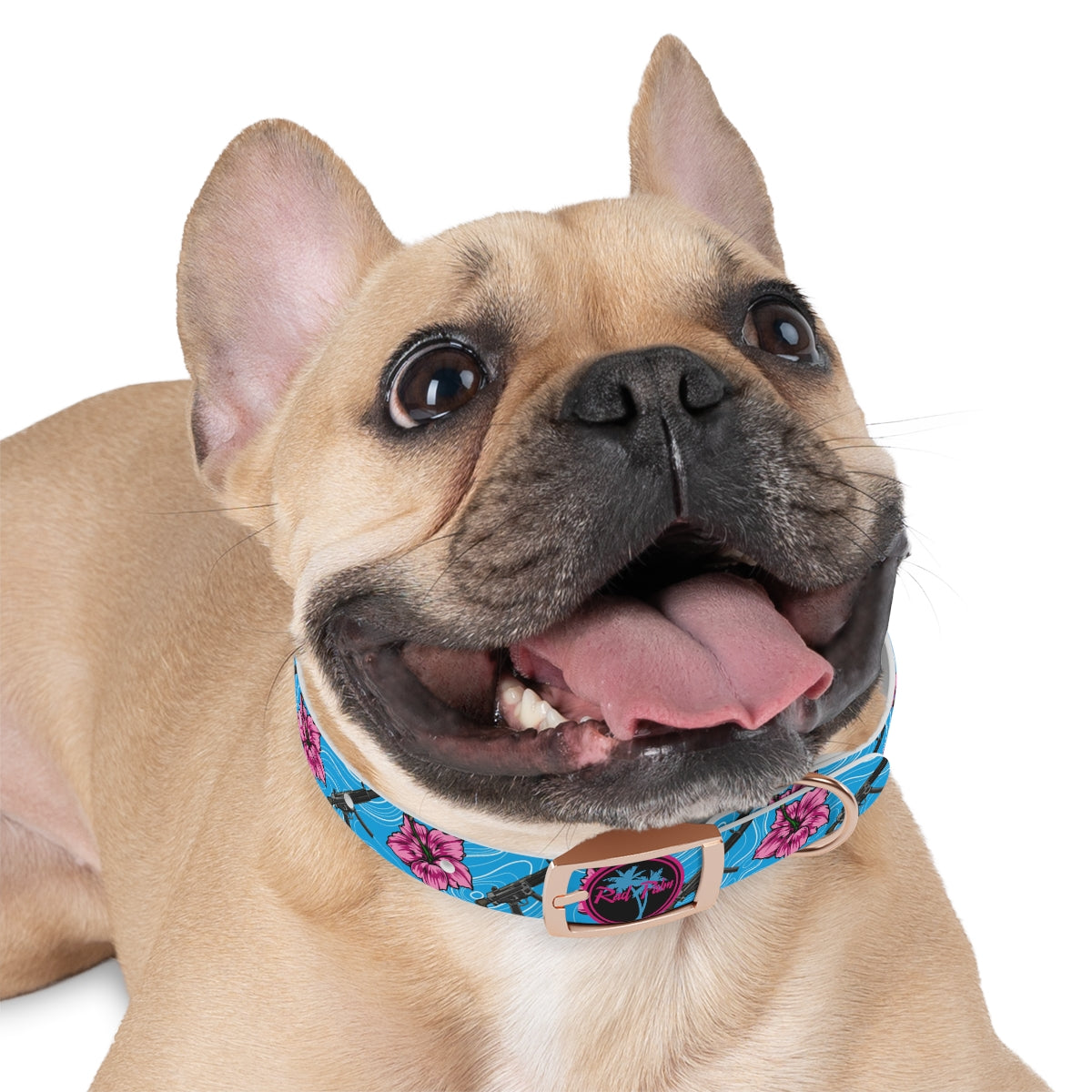 Rad Palm High Capacity Hibiscus Blue Dog Collar