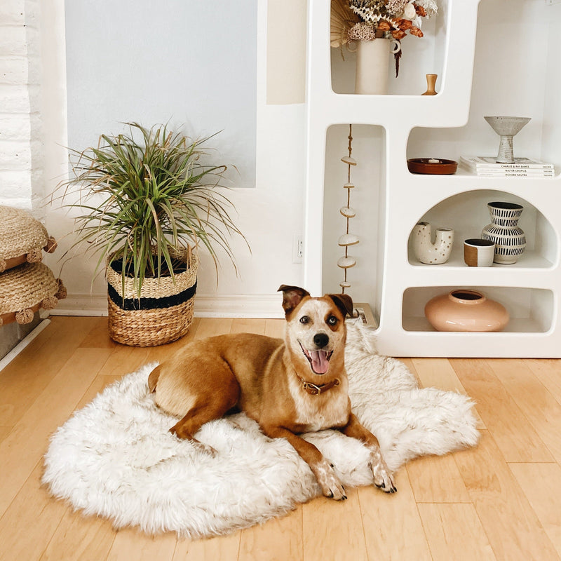 Load image into Gallery viewer, PupRug by Paw.com® Faux Fur Orthopedic Dog Bed - Curve White with Brown Accents