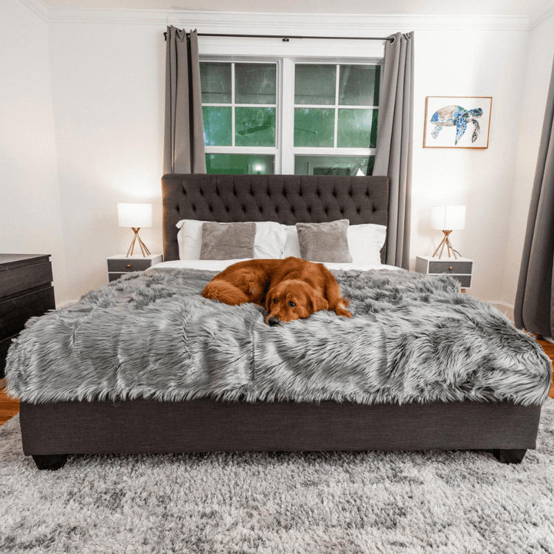 Load image into Gallery viewer, PupProtector™ Waterproof Throw Blanket - Charcoal Grey