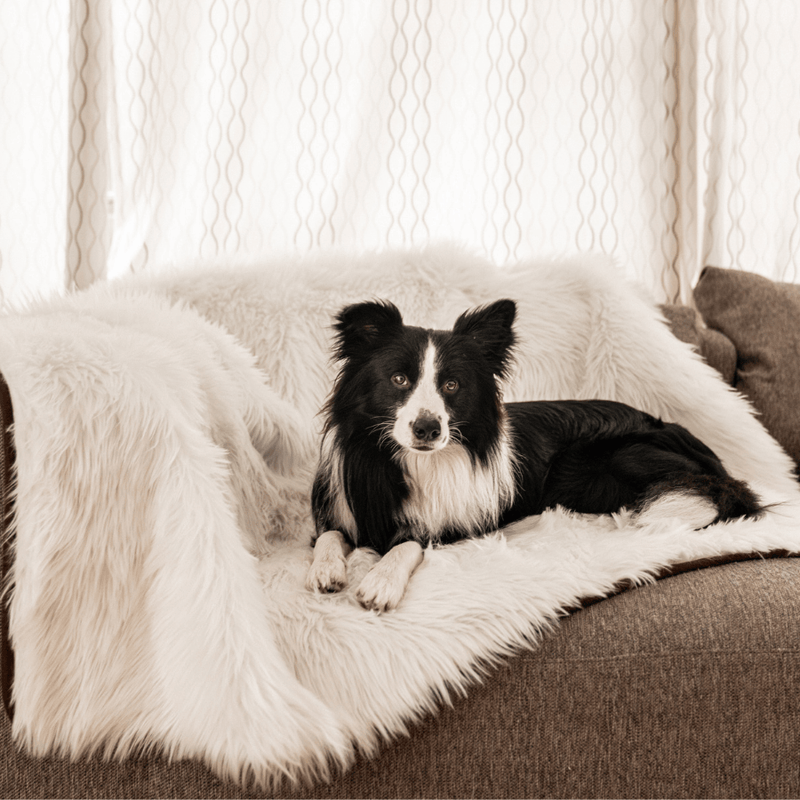 Load image into Gallery viewer, PupProtector™ Waterproof Throw Blanket - Polar White