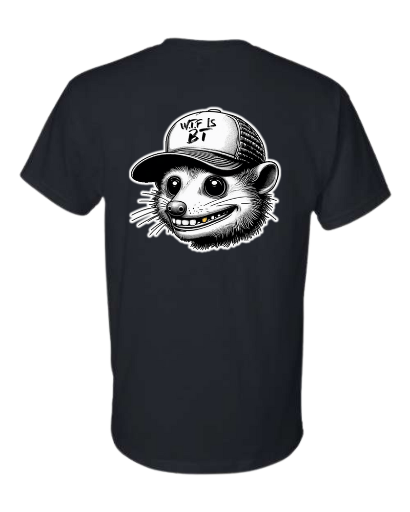 Load image into Gallery viewer, "WTF IS BT?" Short Sleeve