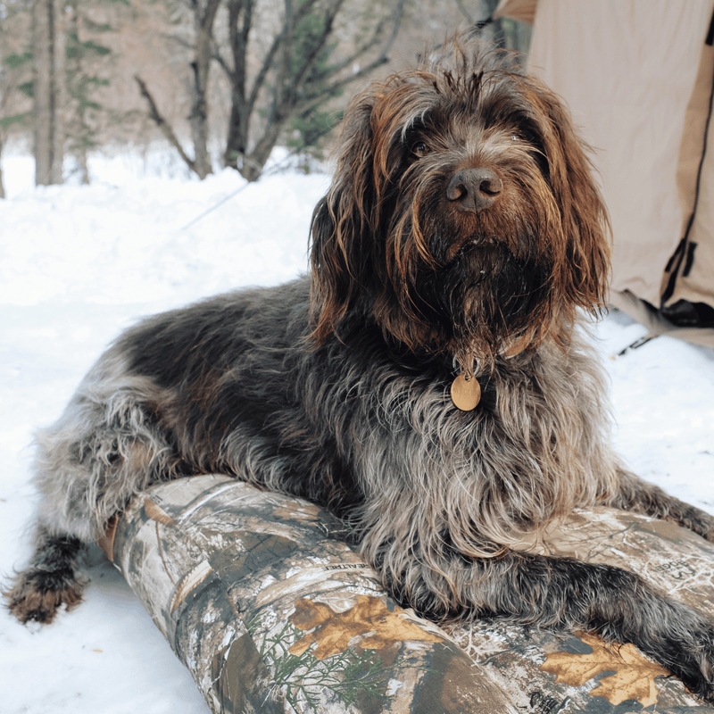 Load image into Gallery viewer, Dog Bed