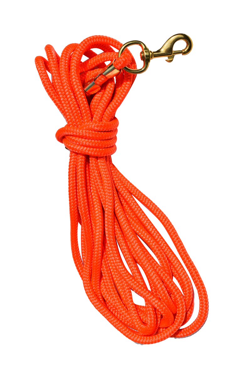 Load image into Gallery viewer, 30ft Nylon Dog Training Check Cord Rope