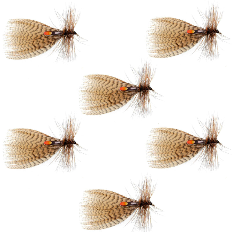 Load image into Gallery viewer, Hornberg Special Streamer or Dry Fly - 6 Flies - Hook Size 10