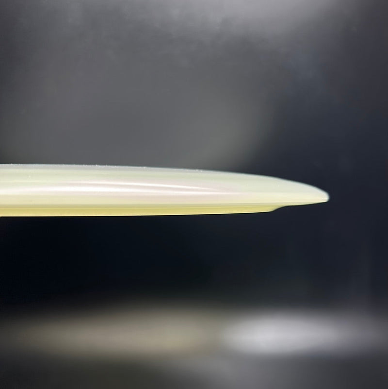 Load image into Gallery viewer, Champion Glow Tern
