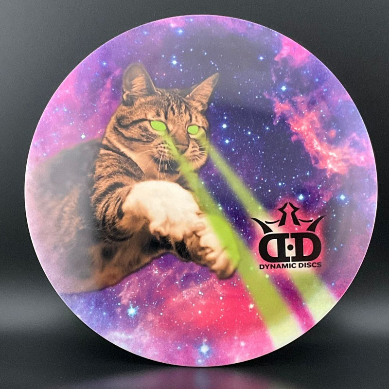Load image into Gallery viewer, Tournament Bear - DyeMax - "Laser Kitty"