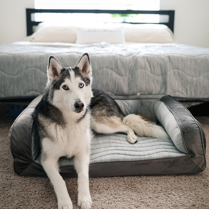 Load image into Gallery viewer, PupChill™ Cooling Bolster Dog Bed + Waterproof Blanket Bundle - Arctic Grey