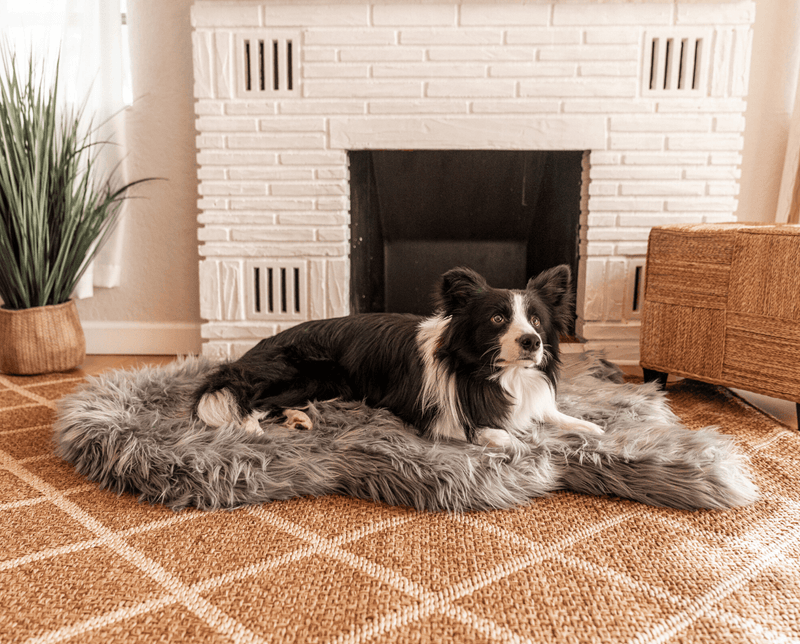 Load image into Gallery viewer, PupRug by Paw.com® Faux Fur Orthopedic Dog Bed - Curve Charcoal Grey