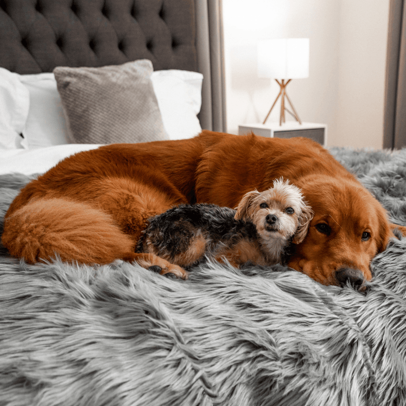 Load image into Gallery viewer, PupProtector™ Waterproof Throw Blanket - Charcoal Grey