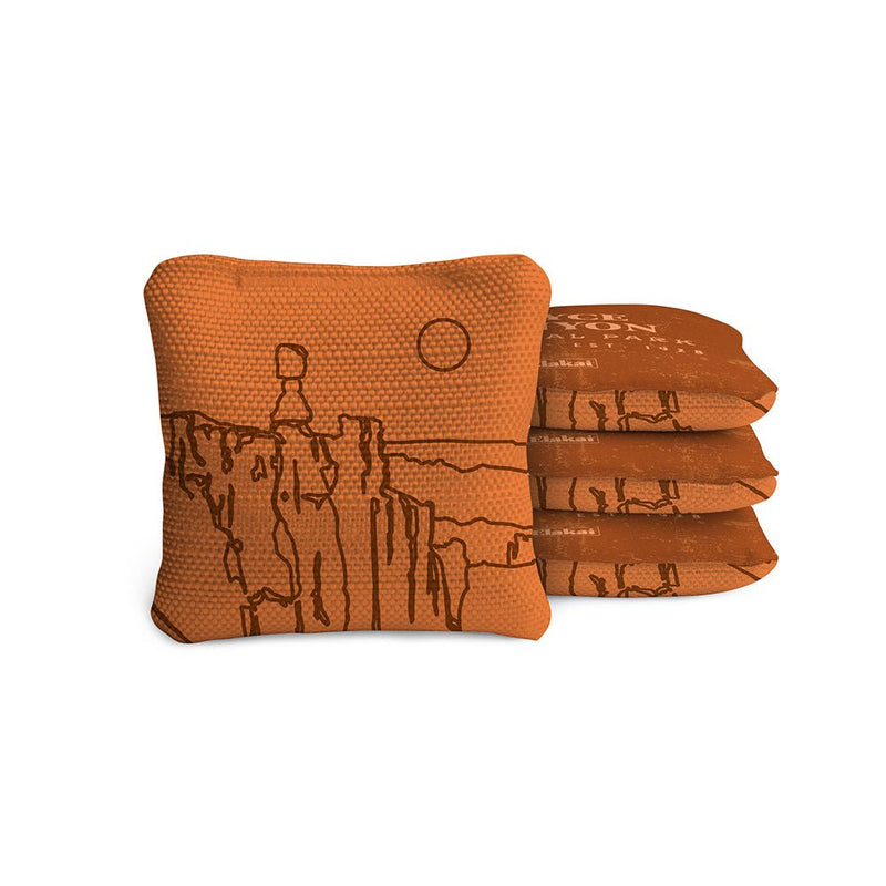 Load image into Gallery viewer, 4-in Travel Dual-Sided Cornhole Bags | National Parks Collection