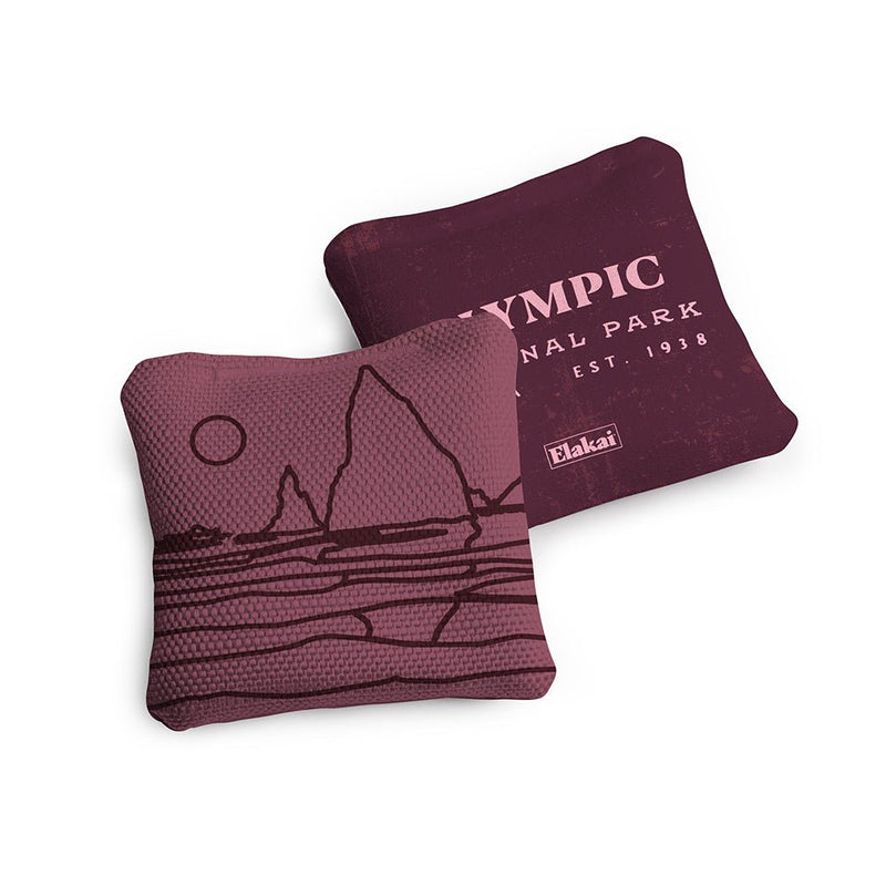 Load image into Gallery viewer, 4-in Travel Dual-Sided Cornhole Bags | National Parks Collection
