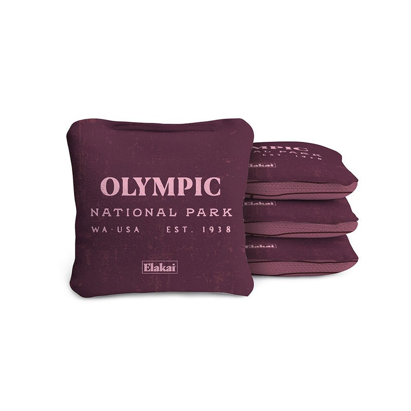 Load image into Gallery viewer, 4-in Travel Dual-Sided Cornhole Bags | National Parks Collection