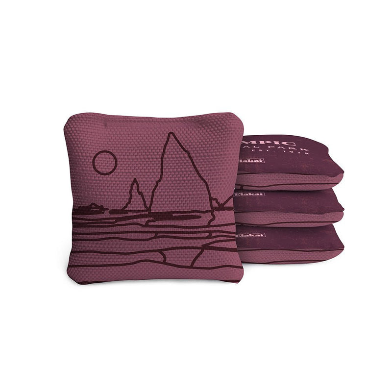 Load image into Gallery viewer, 4-in Travel Dual-Sided Cornhole Bags | National Parks Collection