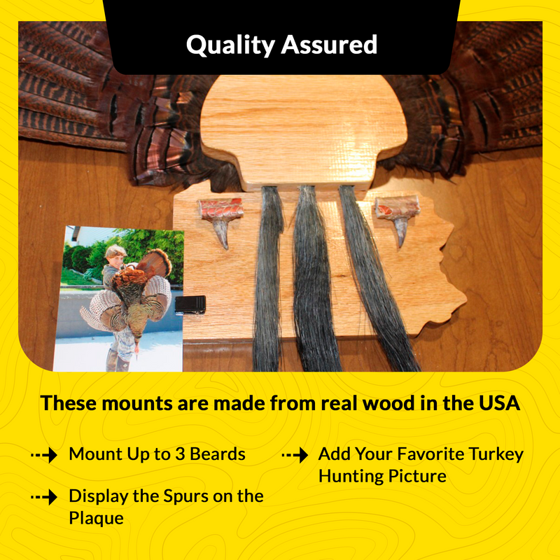 Load image into Gallery viewer, Turkey Mount Plaques with State