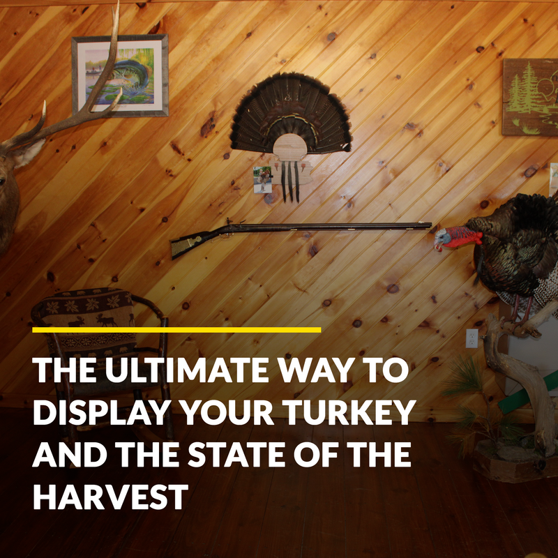 Load image into Gallery viewer, Turkey Mount Plaques with State