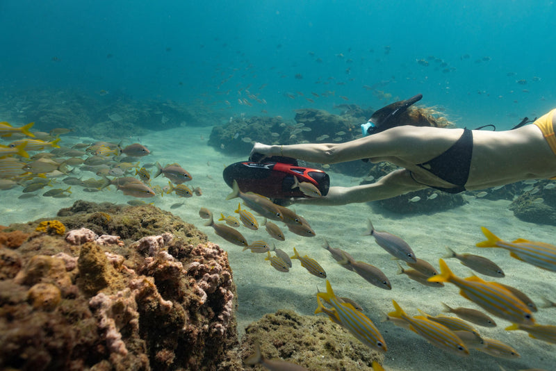 Load image into Gallery viewer, VAPOR
